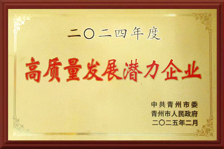 高質(zhì)量發(fā)展?jié)摿ζ髽I(yè)